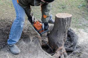 Stump Removal